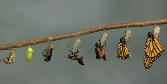 01-Facing-the-unknown-together-636×322