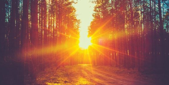 02-Until-the-shadows-flee-636×322