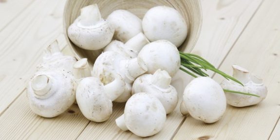 02.A.STRAY_.MUSHROOM-636×318