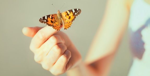 02_Butterfly_encounters-636×322