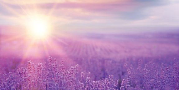 04-faith-does-it-again-636×322
