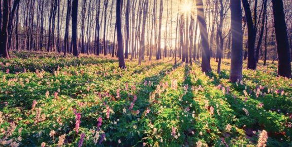 06-The-sound-of-silence-636×322