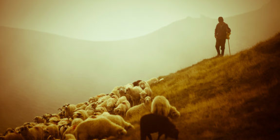 07.those_.shepherds