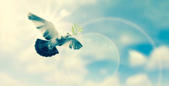 08-Peace-636×322
