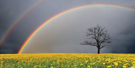 08.painting-a-rainbow-636×322