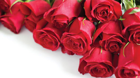 09-Bucketfulls.Of_.Roses_