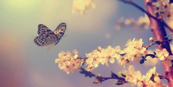 09_easter_people_butterfly-636×322