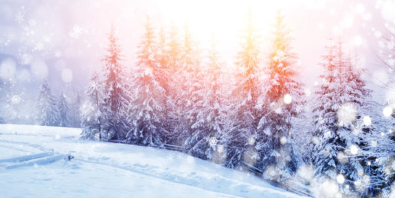 10.winter.coming