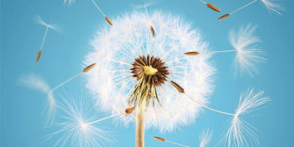 11-A.Worthwhile.Life_
