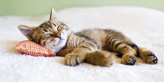 11-Tips.For_.Overcoming.Stress