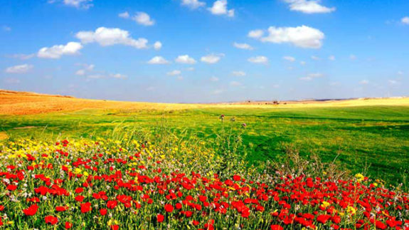 12-Keeping.God_.In_.The_.Picture-shutterstock_3520225