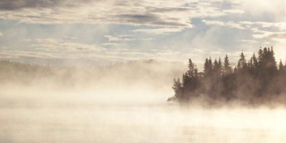 Through-the-Fog