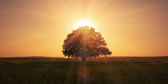 overcoming-crises