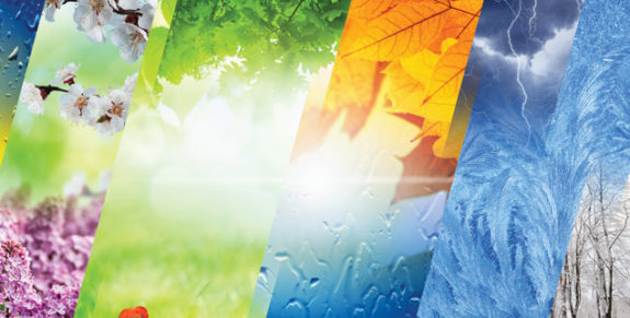 06-The-seasons-of-life