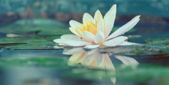 07-Six-Steps-of-Meditative-Prayer