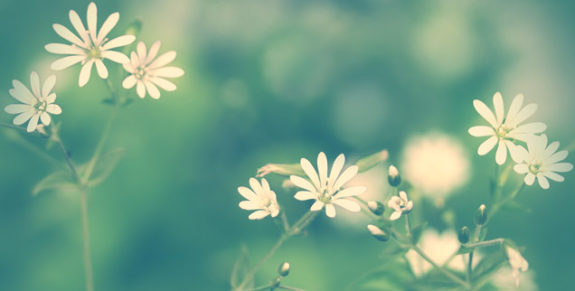09-the-peace-of-God